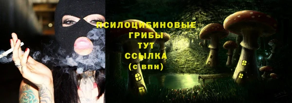 марки lsd Карпинск