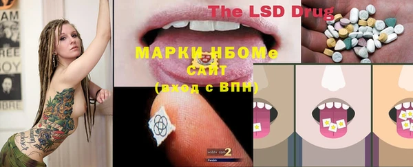 мяу мяу мука Шали