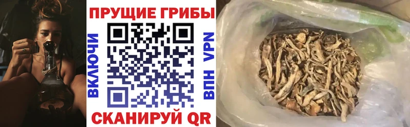 Галлюциногенные грибы Psilocybe Купить закладки Моршанск